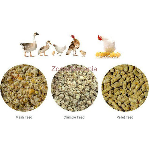 Poultry,s feed formulation - 4/4