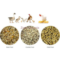 Poultry,s feed formulation - 4