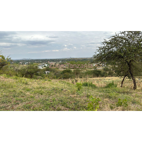 Prime plot for sale Burka Mlimani-Arusha - 2/2