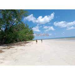 Beach plot for sale in Banja Island Mafia Pwani Tanzania