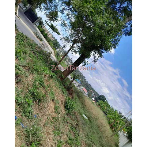 Plot for sale Goba Madale Road - 3/3