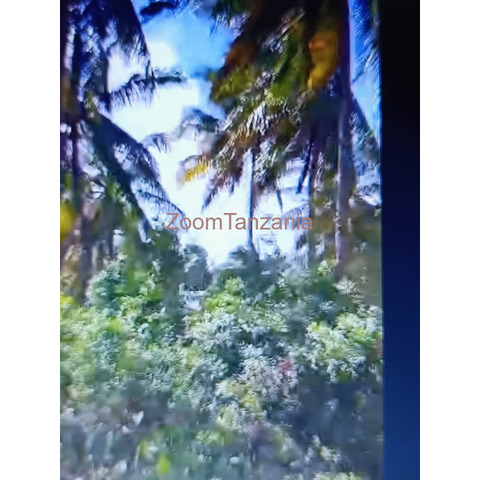 1.5 acre beach plot for sale in Mafia Island Tanzania - 1/4