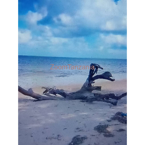 1.5 acre beach plot for sale in Mafia Island Tanzania - 2/4