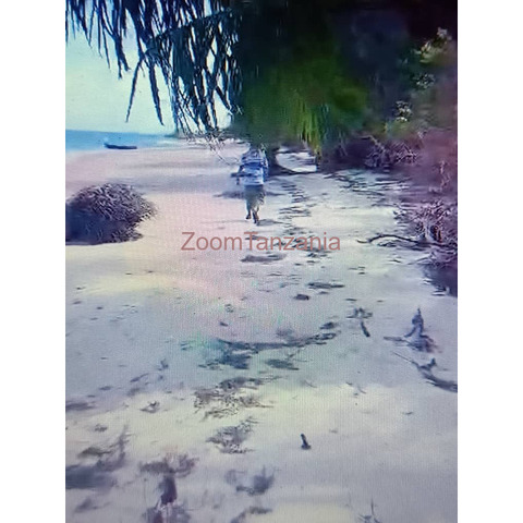 1.5 acre beach plot for sale in Mafia Island Tanzania - 3/4