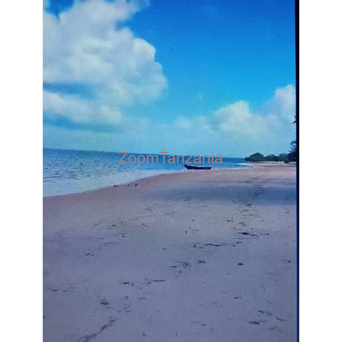 1.5 acre beach plot for sale in Mafia Island Tanzania - 4/4