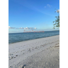 White sand beach for sale in Mlongo Mafia - 4