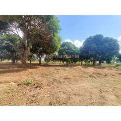 Plot for sale Madale Mbopo - 2