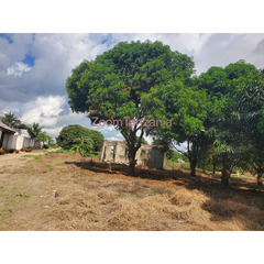 Plot for sale Madale Mbopo - 3