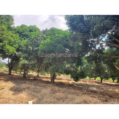 Plot for sale Madale Mbopo - 4