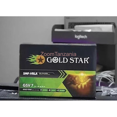 Gold Star Ups Battery 12V - 17ah