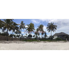 White sand beach plot for sale Matemwe Kilima juu Zanzibar