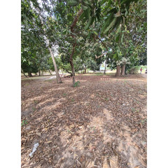 11 acres for sale at Gezaulole Kigamboni, Dar es salaam, Tanzania. - 3