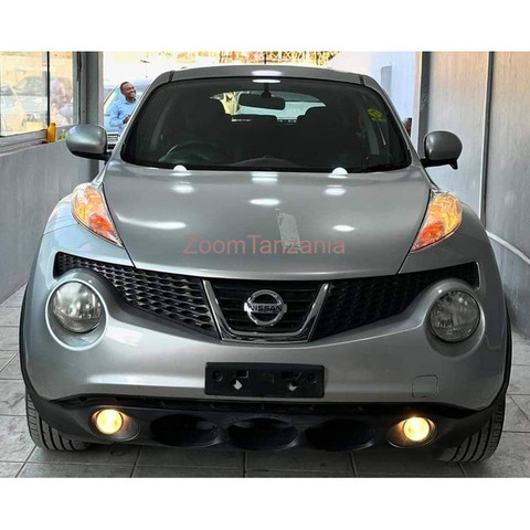 2010 Nissan Juke - 1/4