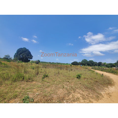 KIWANJA CHA SQM 2130 KINAUZWA MADALE MBOPO - 4