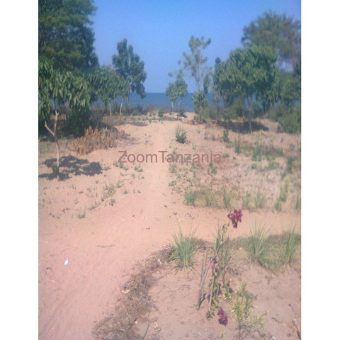 Beach plot for sale - 2/4