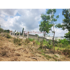 Plot for sale Goba Kulangwa - 3