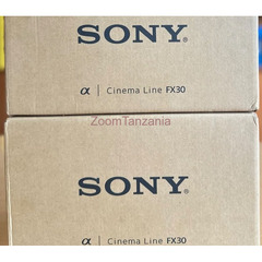 Sony Alpha Cinema Line FX30 - 1