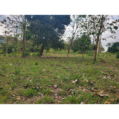 Plot for sale Kulangwa Goba - 4