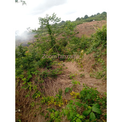 Land for sale