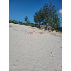 Wonderful White sand beach plot for sale Geza Bamba Beach Kigamboni