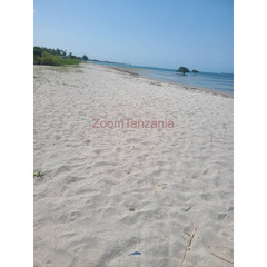 Wonderful White sand beach plot for sale Geza Bamba Beach Kigamboni - 2