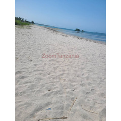 Wonderful White sand beach plot for sale Geza Bamba Beach Kigamboni - 3