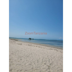 Wonderful White sand beach plot for sale Geza Bamba Beach Kigamboni - 4