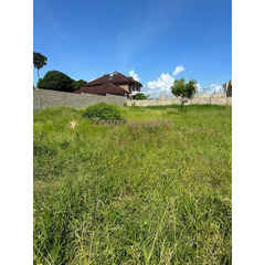 Mbweni JKT Plot for sale - 3