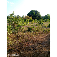 Ndagaa central farm land for sale