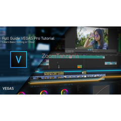 MAGIX VEGAS Pro 22( Windows Installer )