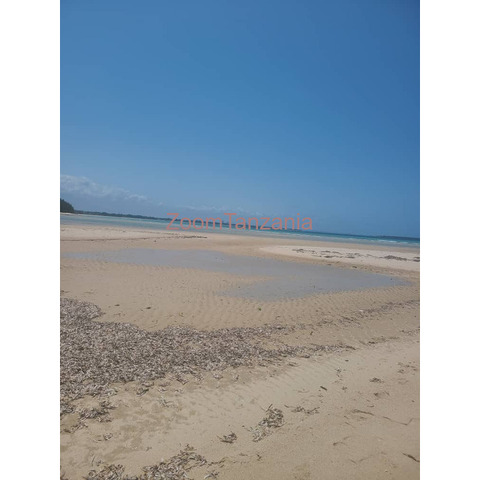 Beautiful beach plot for sale Kigamboni Kibugumo - 1/3