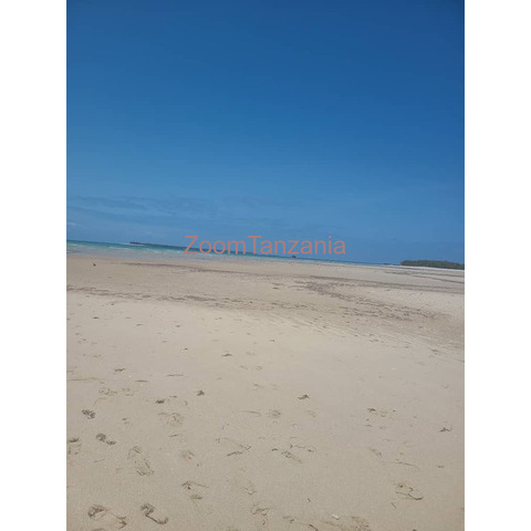 Beautiful beach plot for sale Kigamboni Kibugumo - 2/3