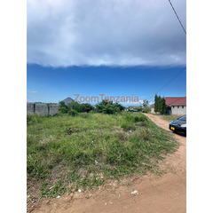 PLOT FOR SALE BUNJU MJI MPYA - 4