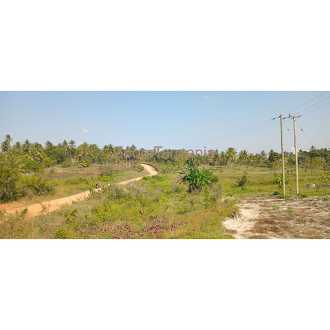 Industrial plot in Kiparanganda Mkuranga - 1/4