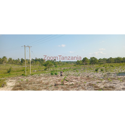 Industrial plot in Kiparanganda Mkuranga - 2/4