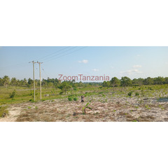 Industrial plot in Kiparanganda Mkuranga - 2