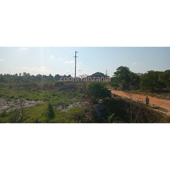 Industrial plot in Kiparanganda Mkuranga - 4