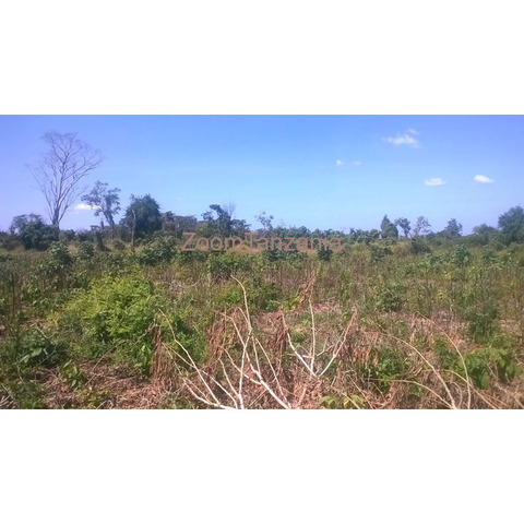 Farm land in Kimanzichana Mkuranga - 1/3