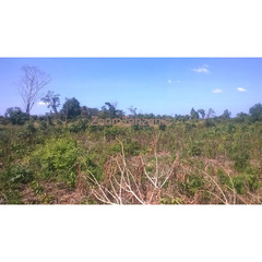 Farm land in Kimanzichana Mkuranga