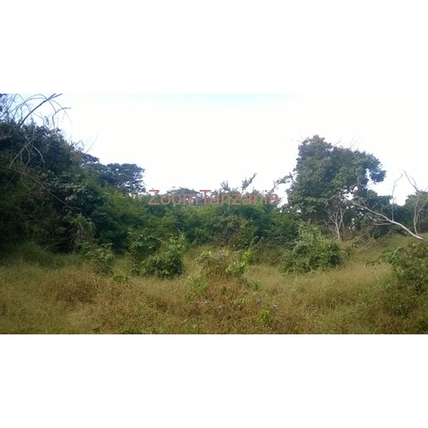 Farm land in Kimanzichana Mkuranga - 2/3