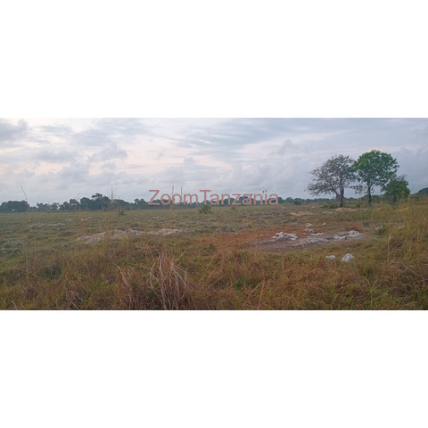 Farm land in Shungu bweni mkuranga - 1/3