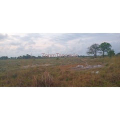 Farm land in Shungu bweni mkuranga