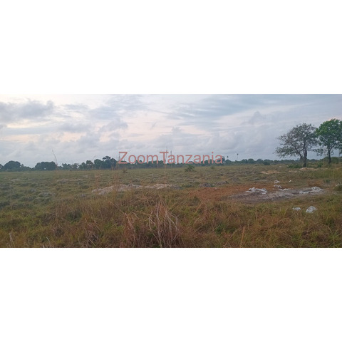 Farm land in Shungu bweni mkuranga - 2/3