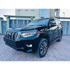 2023 Toyota Landcruiser Prado Txl - 2