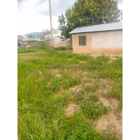 House for Sale/Plot - 3/3