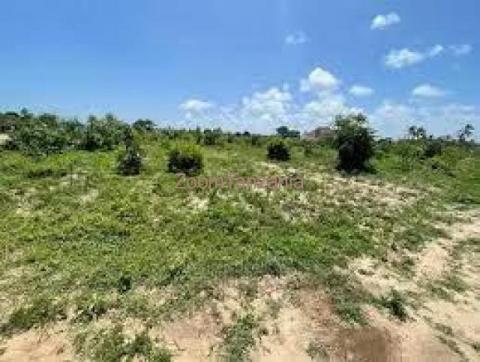 Wiwanja Vinauzwa, SQM 4,000 Bagamoyo, Kerege