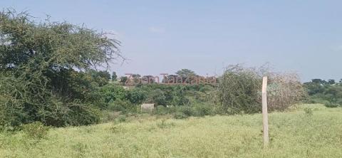 PLOT FOR SALE IN NJIRO-ARUSHA-TANZANIA - 1/4