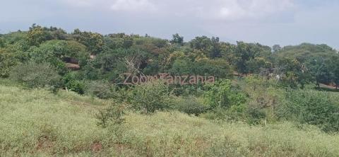 PLOT FOR SALE IN NJIRO-ARUSHA-TANZANIA - 4/4