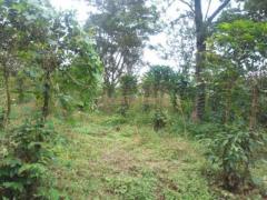 Land for sale in Arusha areas Burka, Matevesi, Karatu Tanzania