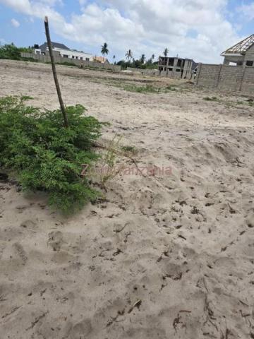 Tunauza beach plots gezaulole Kigamboni - 3/3